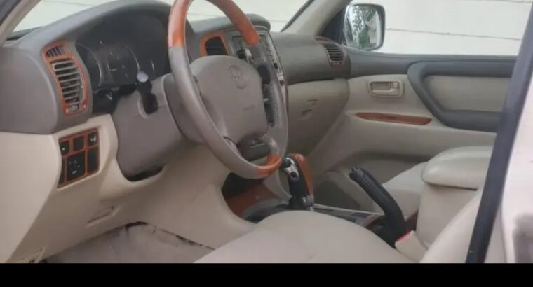 مركب الشيوخ