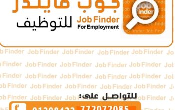 مهندس شبكات