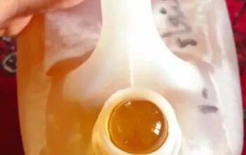 عسل سدر دوعني تابعة