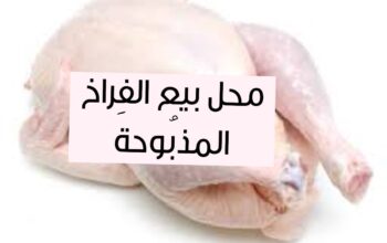 محل بيع الفراخ المذبوحة شارع 6 اكتوبر البحر الاعظم الجيزة وحدة البيع كيلوجرام