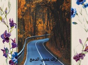 أراك عصي الدمع شيمتك الصبر أما للهوى نهي عليك و لا أمر