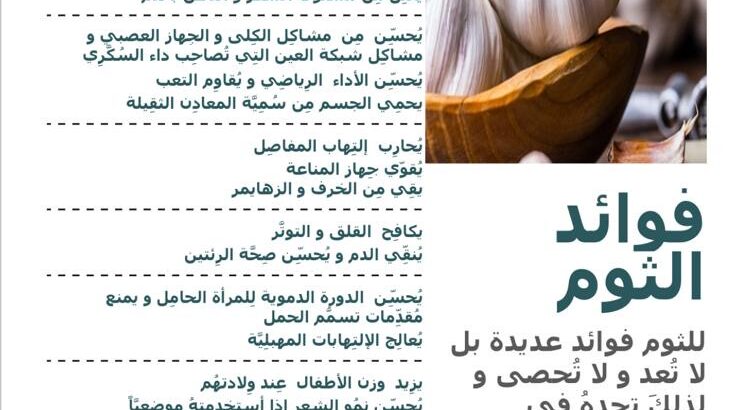 فوائد الثوم