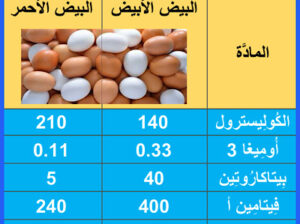 الفرق بين البيض الأبيض و البيض الأحمر