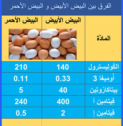 الفرق بين البيض الأبيض و البيض الأحمر