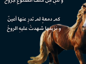 شعر: كالخيل يمنعنا الشموخ شكاية و تئن من خلف الضلوع جروح