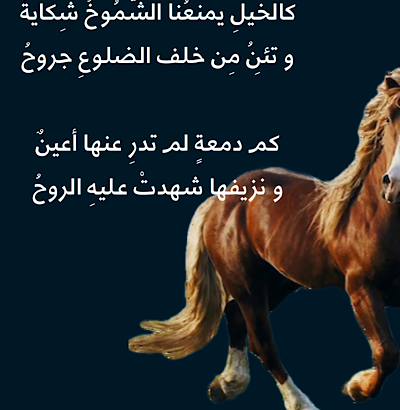 شعر: كالخيل يمنعنا الشموخ شكاية و تئن من خلف الضلوع جروح