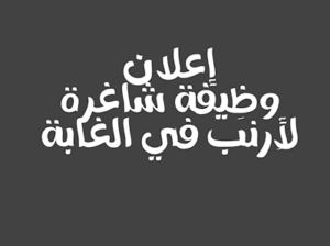 إعلان عن وظيفة شاغرة لأرنب في الغابة