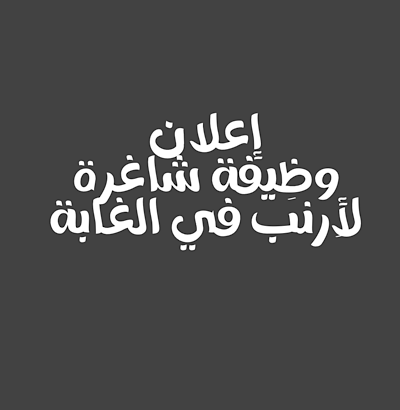 إعلان عن وظيفة شاغرة لأرنب في الغابة