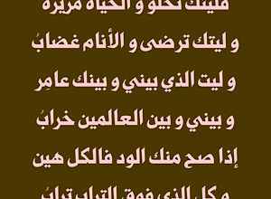 فليتك تحلو و الحياة مريرة و ليتك ترضى و الاثام غضاب