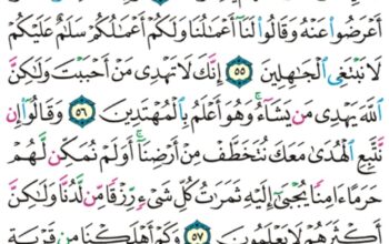 ورد القران اليومي سورة القصص الاية 51 إلى 59 الصفحة 392