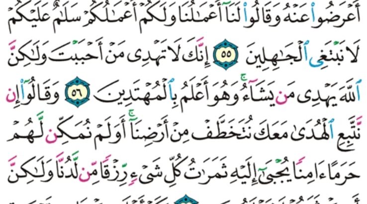 ورد القران اليومي سورة القصص الاية 51 إلى 59 الصفحة 392