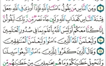 الوِرد اليومِي: سورة العنكبوت من الآية 7 إلى الآية 14