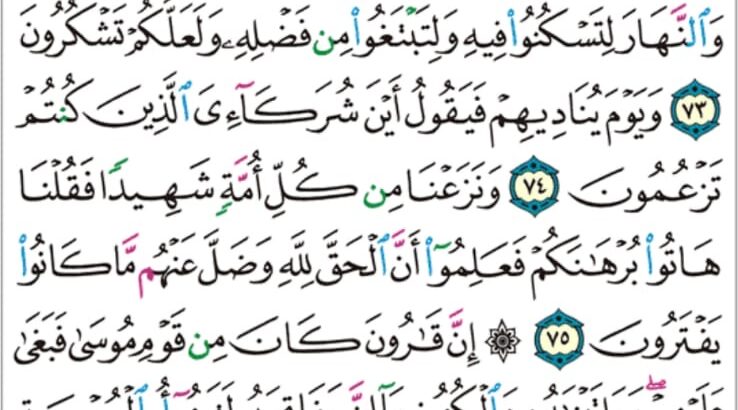 الورد اليومي سورة القصص سورة رقم 28 من الآية 71 إلى الآية 77 عدد اياتها 88 اية