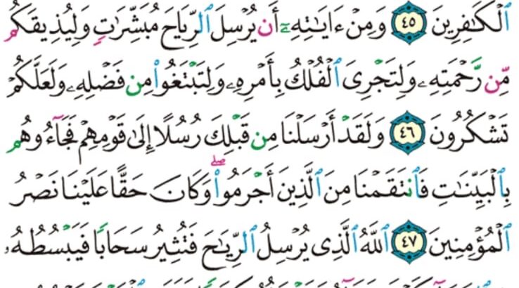 الوِرد اليومِي سورة الروم من الآية 42 إلى الآية 50 صفحة 409