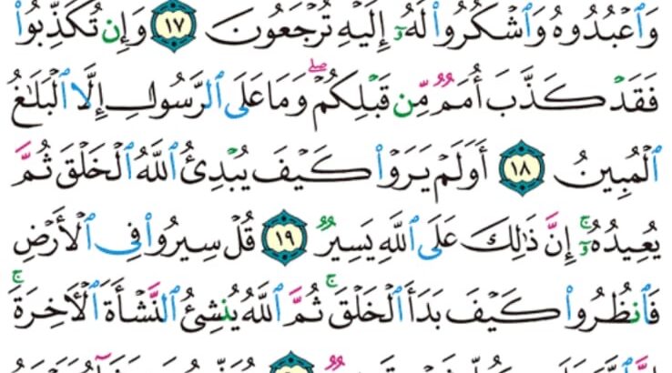 الوِرد اليومي:- سورة العنكبوت من الآية 15 إلى الآية 24 الصفحة 398