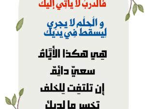 سر لا تقف فالدرب لا يأتي إليك و الحلم لا يجري ليسقط في يديك هي هكذا الأيام سعي دائم إن تلتفت للخلف تخسر ما لديك