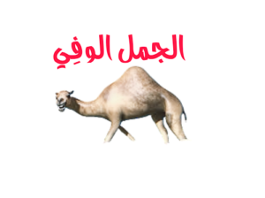 قصة قصيرة الجمل الوفي