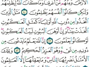 الوِرد اليومي سورة العنكبوت من الآية 24 إلى الآية 30 صفحة 399