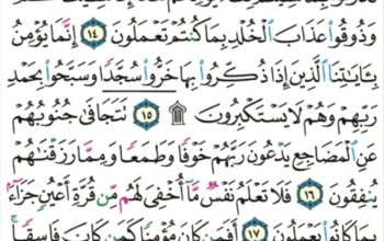 الوِرد اليومِي سورة السجدة من الآية 12 إلى الآية 20