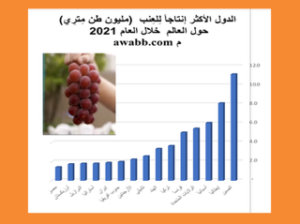 الدول الأكثر إنتاجاً للعنب (مليون طن متري) حول العالم خلال العام 2021 م