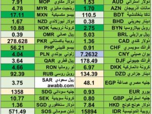 كشف يومي حول اسعار العملات الأجنبية 2024/4/24 Daily report currency exchange rates