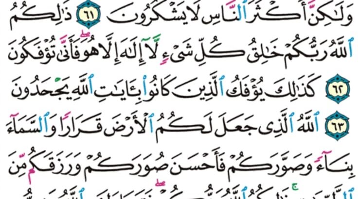الوِرد اليومي سورة غافر من الاية 59 إلى الاية 66 الوِرد اليومي سورة غافر من الاية 67 إلى الاية 77