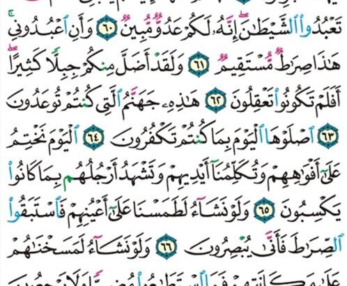 الوِرد اليومي سورة ياسين من الآية 55 إلى الآية 70