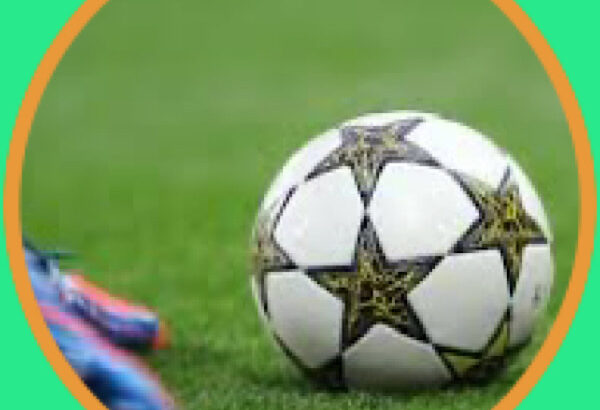 عدد البطولات التي حصل عليها الأندية الفائزين على مباريات البطولات الأوروبية للموسم 2024