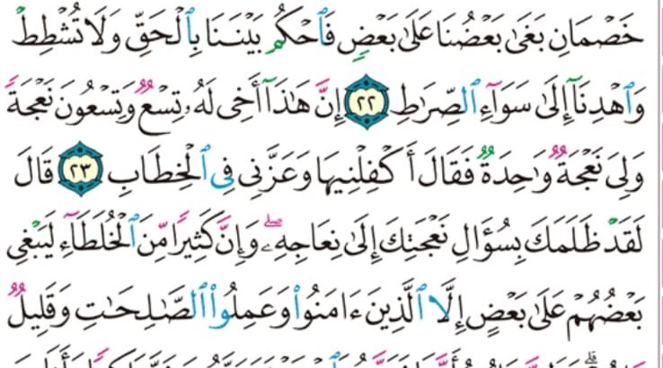 الوِرد اليومي سورة ص من الآية 17 إلى الآية 26
