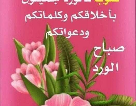 صور صباح الخير