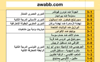 نتائج مباريات كرة القدم ليوم الخميس 2024/6/13 م 8 ذو الحجة 1445هجرية