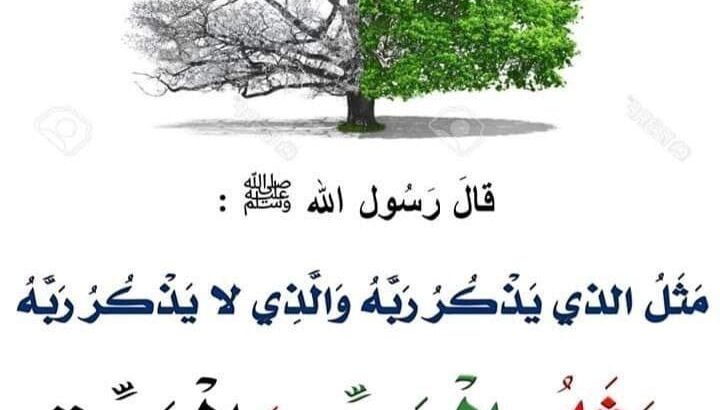مجموعة صور صباح الخير 2