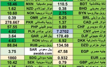 كشف يومي حول اسعار العملات الدولية 2024/6/11 Daily report currency exchange rates