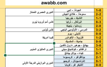 نتائج مباريات كرة القدم ليوم 2024/6/22 م 16 ذو الحجة 1445هجرية
