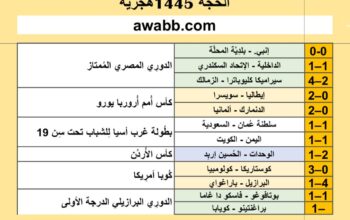 نتائج مباريات كرة القدم ليوم 2024/6/29 م 23 ذو الحجة 1445هجرية