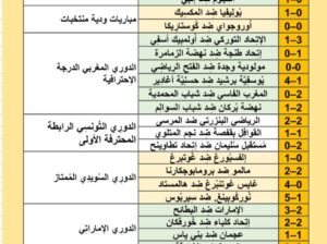 نتائج مباريات يوم 2024/6/1