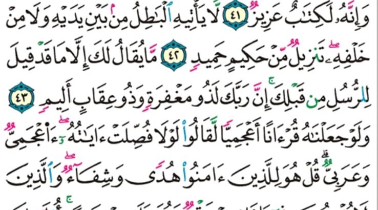 الوِرد اليومي سورة فصلت من الاية 29 إلى الاية 46