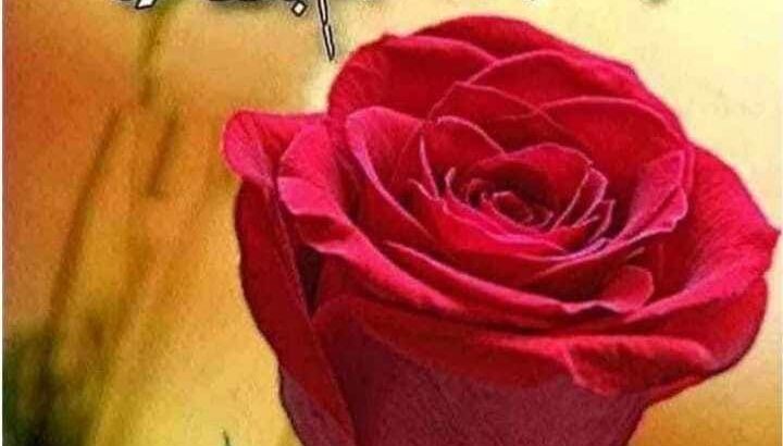 مجموعة صور صباح الخير