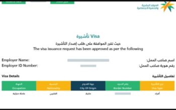 استخراج تاشيرات سياحيه