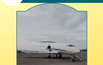 With World-class Medical System Book Vedanta Air Ambulance in Patna