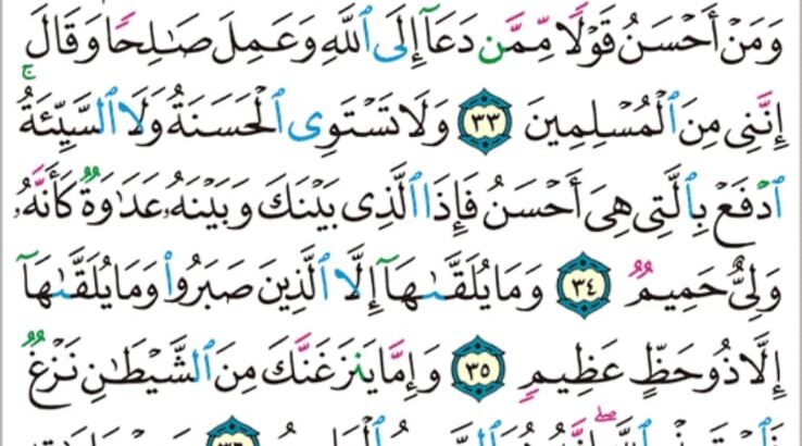 الوِرد اليومي سورة فصلت من الاية 21 إلى الاية 29 و من الاية 30 إلى الاية 38
