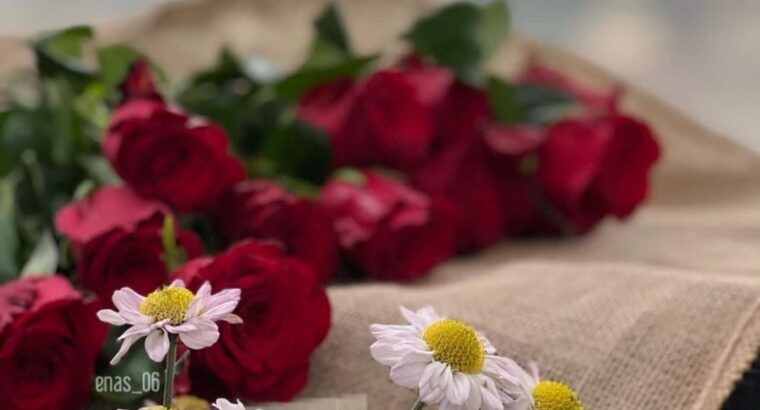 صور صباح الخير