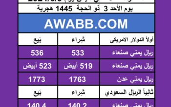 اسعار العملات في اليمن يوم 2024/6/9