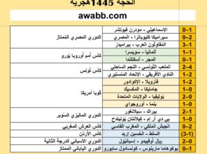 نتائج مباريات كرة القدم ليوم 2024/6/23 م 17 ذو الحجة 1445هجرية