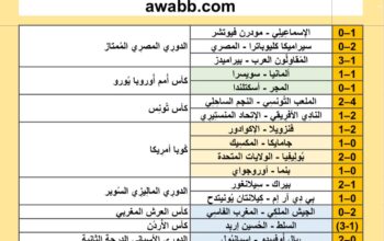 نتائج مباريات كرة القدم ليوم 2024/6/23 م 17 ذو الحجة 1445هجرية