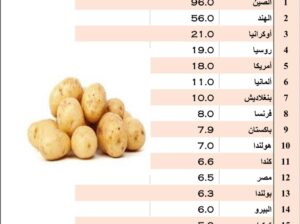 الدول الأكثر إنتاجاً لِلبطاط حول العالم بالمليون طن عام 2022 (إنتاج البطاط)