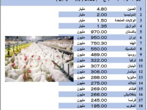 الدول الأكثر إنتاجاً للدجاج عام 2022 (تربية الدواجن )