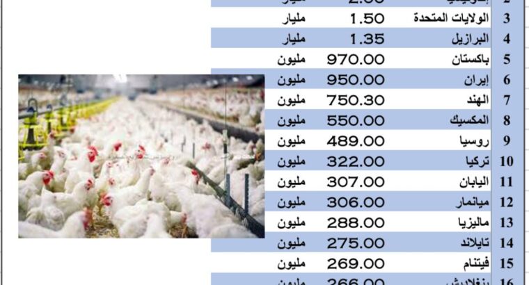 الدول الأكثر إنتاجاً للدجاج عام 2022 (تربية الدواجن )