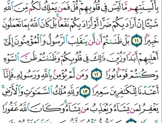 الوِرد اليومي سورة الفتح سورة رقم 10 من الآية 15