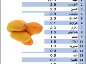 الدول الأكثر إنتاجاً للمانجو بالعام2022م بالمليون طن(إنتاج المانجو)